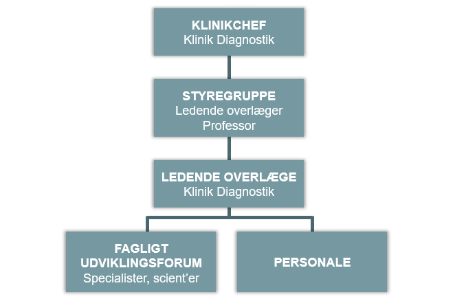 Organisationsdiagram for NGSC