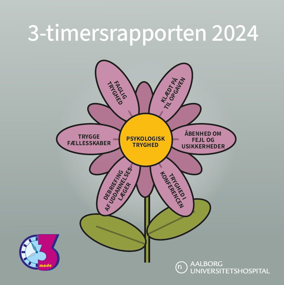 3-timersrapporten 2024