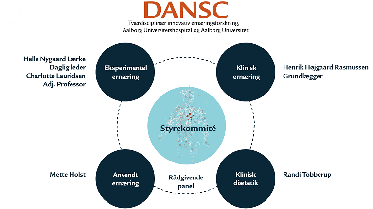 DANSC Organisation