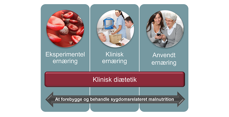 De tre ernæringsplatforme