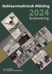 Årsberetning 2024