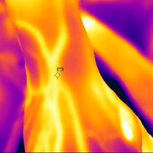 Termografi