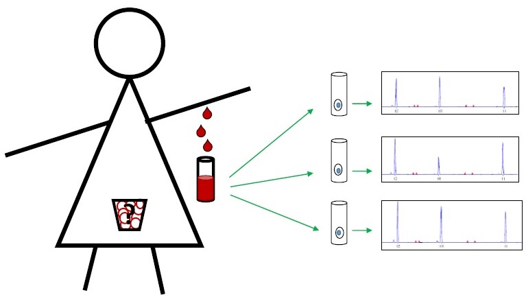 Graphical abstract
