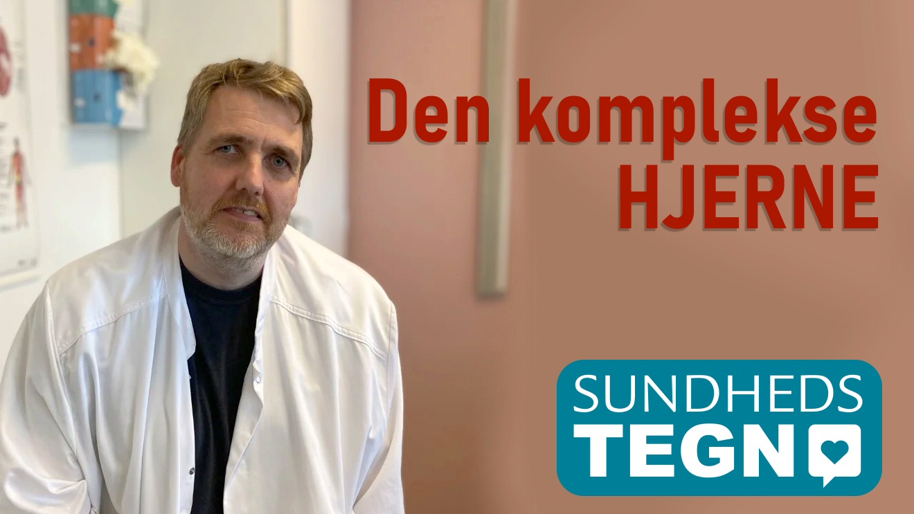 Sundhedstegn - Den komplekse hjerne