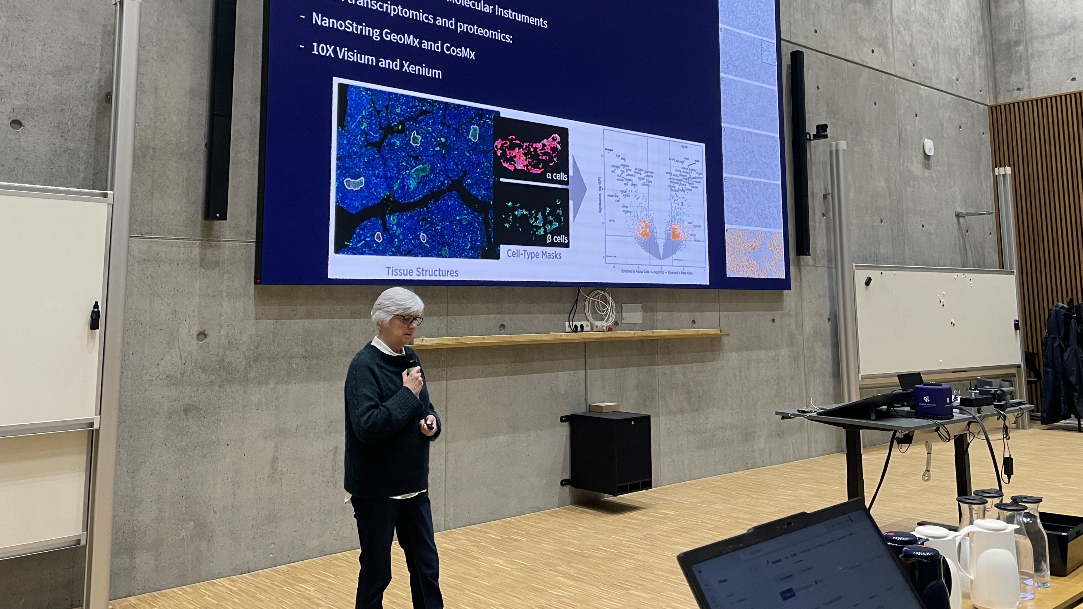 Minisymposium. Professor Ida Holm.