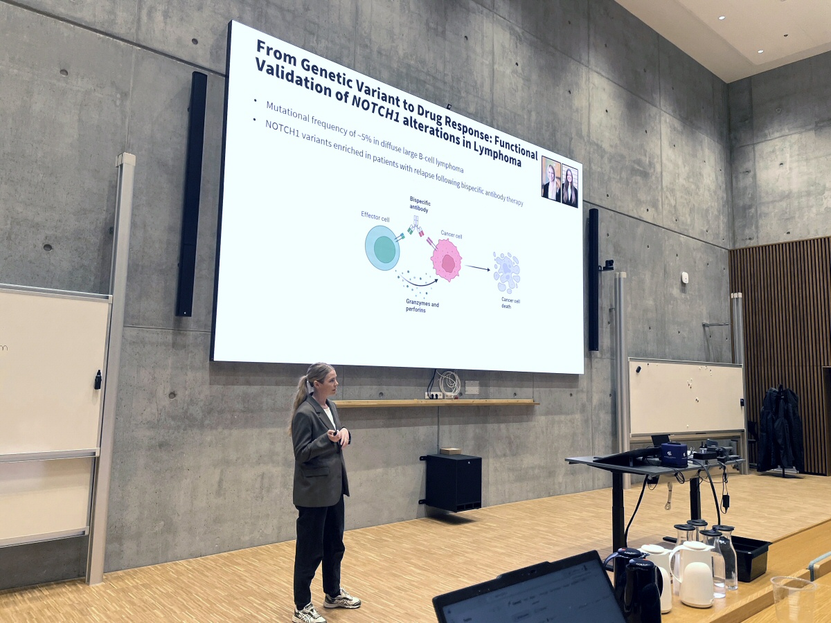 Minisymposium. Lektor Hanne Due