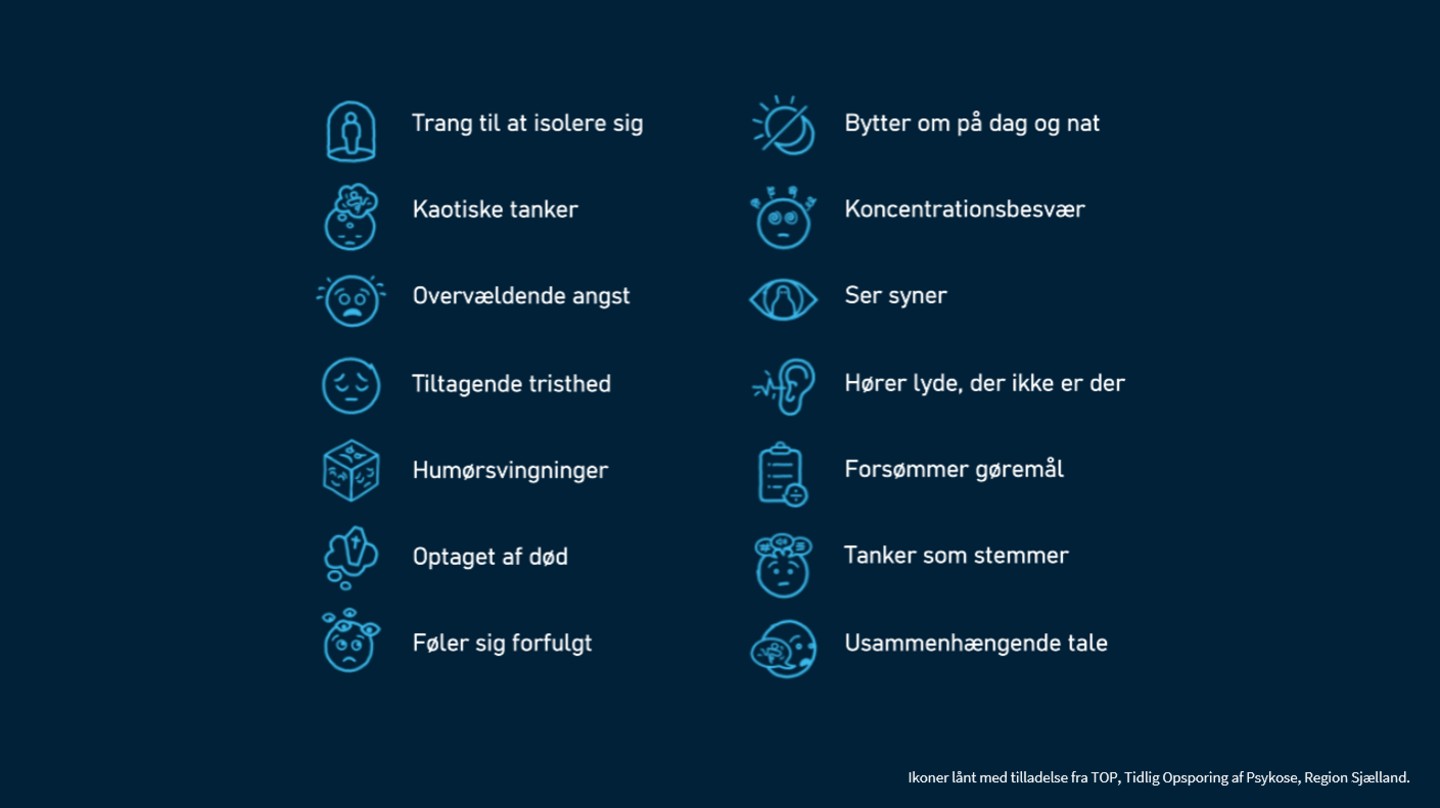 De 14 typiske tegn er: trang til at isolere sig, kaotiske tanker, overvældende angst, tiltagende tristhed, humørsvingninger, optaget af død, føler sig forfulgt, bytter om på dag og nat, koncentrationsbesvær, ser syner, hører lyde, der ikke er der, forsømmer gøremål, tanker som stemmer, usammenhængende tale