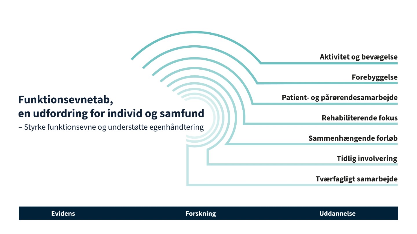 Ramme for indsatsområderne i Grand Challenge