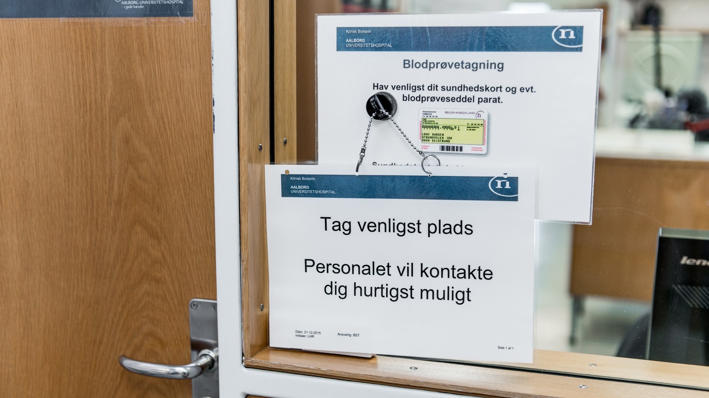 Om afsnittet