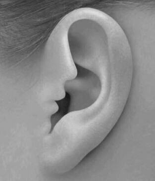 Ear