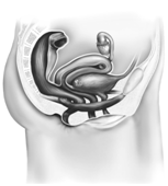 Beskrivelse findes i billedtekst og br&oslash;dtekst.