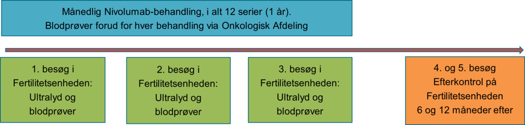 Billede 1