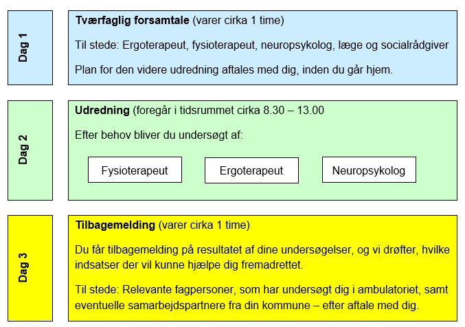 Oversigt over forløbet i skemaform med visning af aktiviteten for hver af de 3 dage: dag 1 tværfaglig forsamtale, dag 2 udredning, dag 3 tilbagemelding.