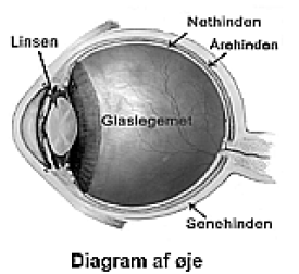 Diagram af øje