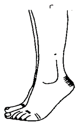 Billede 8