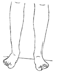 Billede 6