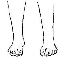 Billede 7