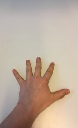Billede 7