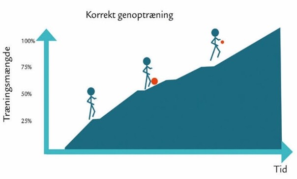 Korrekt genoptræning, hvor træningsmængden langsomt øges.
