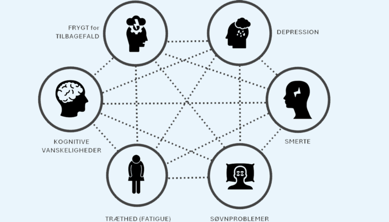 De 6 elementer er frygt for tilbagefald, depression, smerte, s&oslash;vnproblemer, tr&aelig;thed (fatigue) og kognitive vanskeligheder. N&aring;r de p&aring;virker hinanden indbyrdes og dermed h&aelig;nger sammen i klynger, bliver f&oslash;lgerne komplekse. 