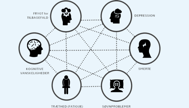 De 6 elementer er frygt for tilbagefald, depression, smerte, s&oslash;vnproblemer, tr&aelig;thed (fatigue) og kognitive vanskeligheder. N&aring;r de p&aring;virker hinanden indbyrdes og dermed h&aelig;nger sammen i klynger, bliver f&oslash;lgerne komplekse. 