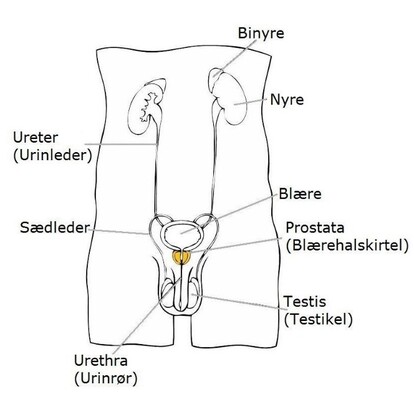 Billede 5