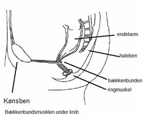 Billede 5