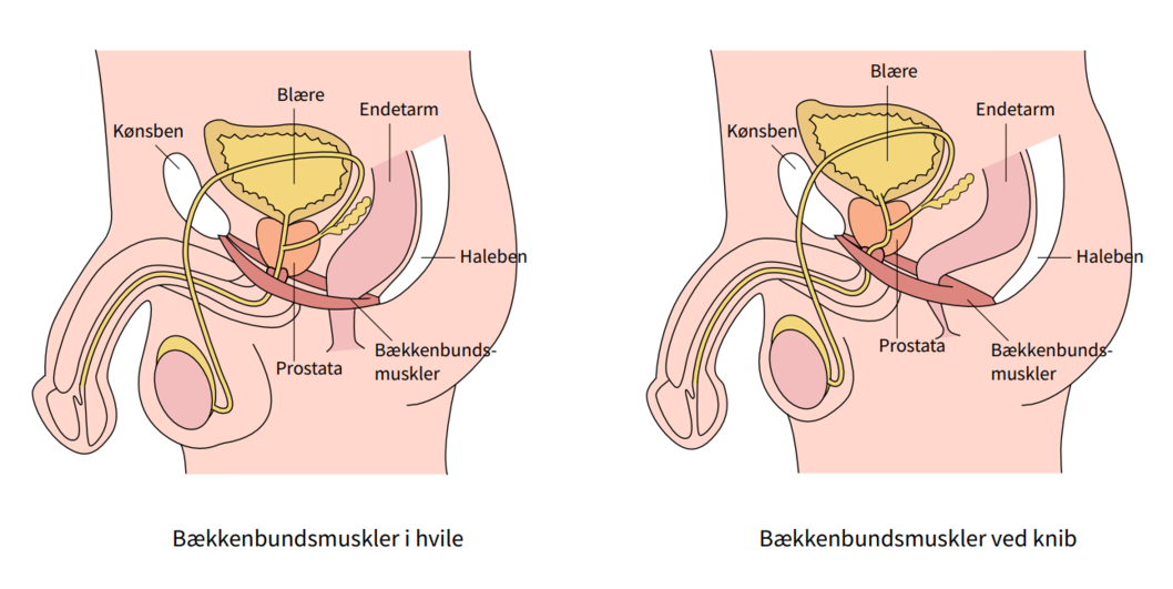 Et billede, der indeholder tekst, tegning

AI-genereret indhold kan v&aelig;re ukorrekt.