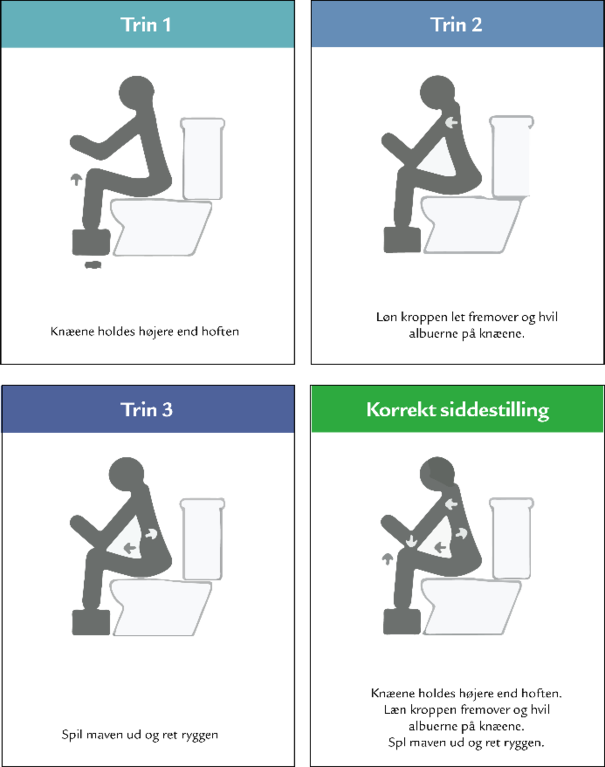 Illustrationen viser et billede af en tarm med 8 bobler omkring, der hver indeholder et emne. Emnerne er: Toiletforhold, siddestilling, medicin, tarmperistaltik, livsstil, fissur, kost og væske. 