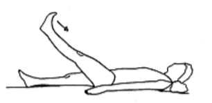 Billede 5
