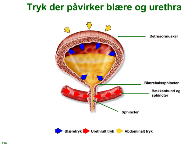 Billede 2