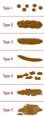 Bristol Stool Chart