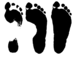 3 fodaftryk. Ved f&oslash;rste aftryk ses kun h&aelig;l og forfod, andet aftryk viser ogs&aring; ydersiden af foden, mens sidste aftryk viser hele fodens underside.