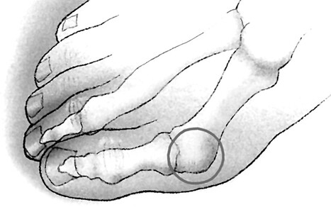 Billede 7